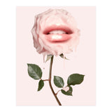 Glossy Rose (Print Only) thumbnail
