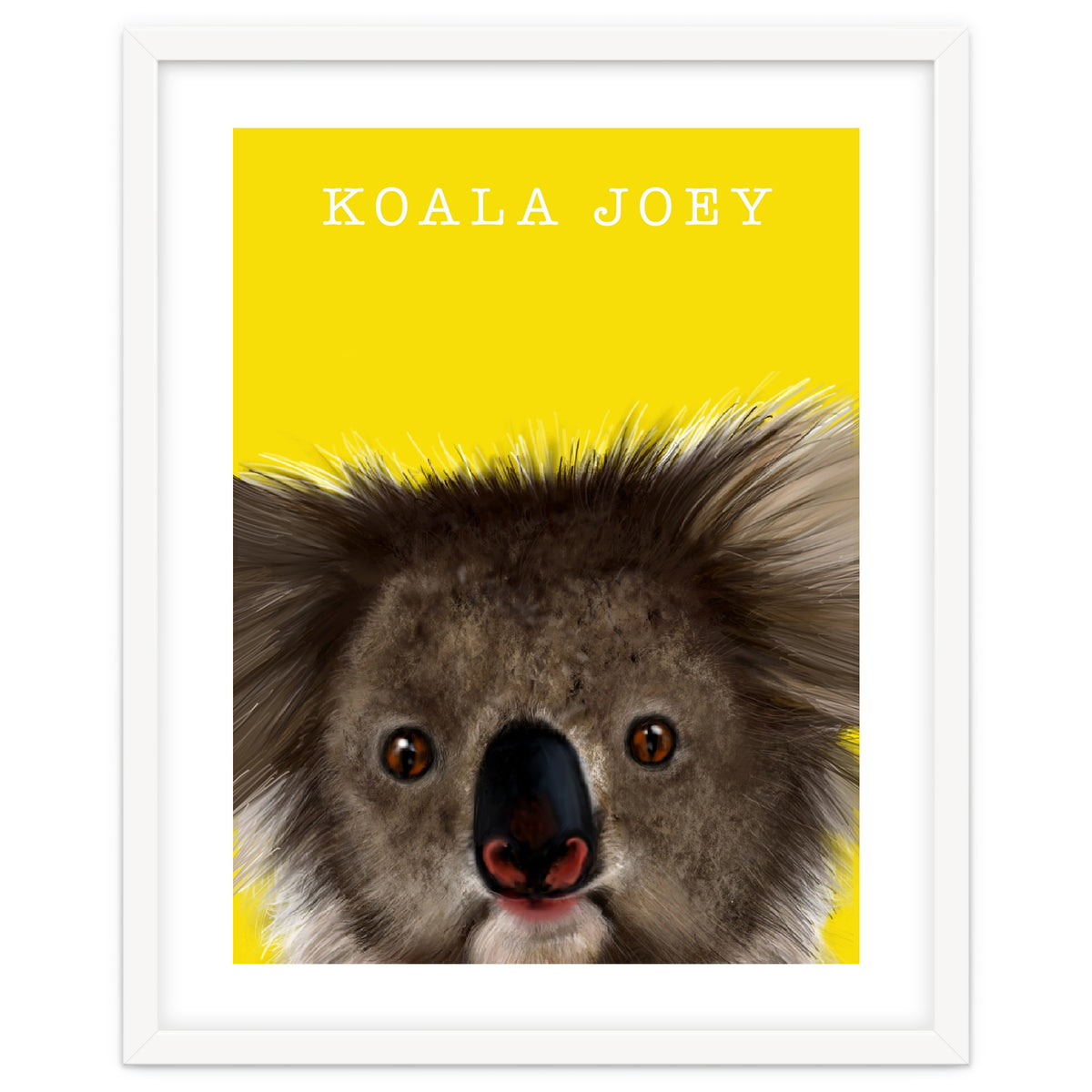 Koala Joey