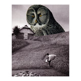 Nocturnal (Print Only) thumbnail