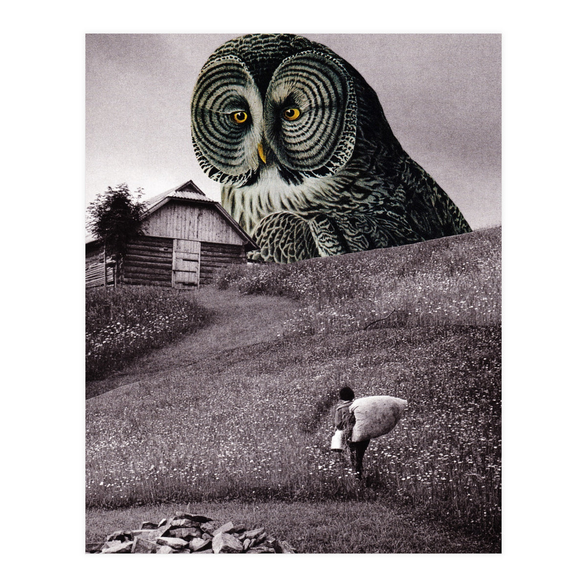 Nocturnal (Print Only)