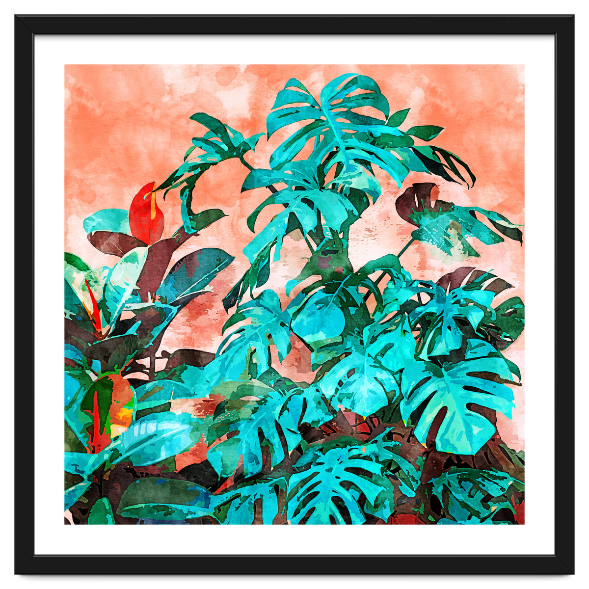 Monstera In My Backyard