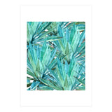 Agave  (Print Only) thumbnail