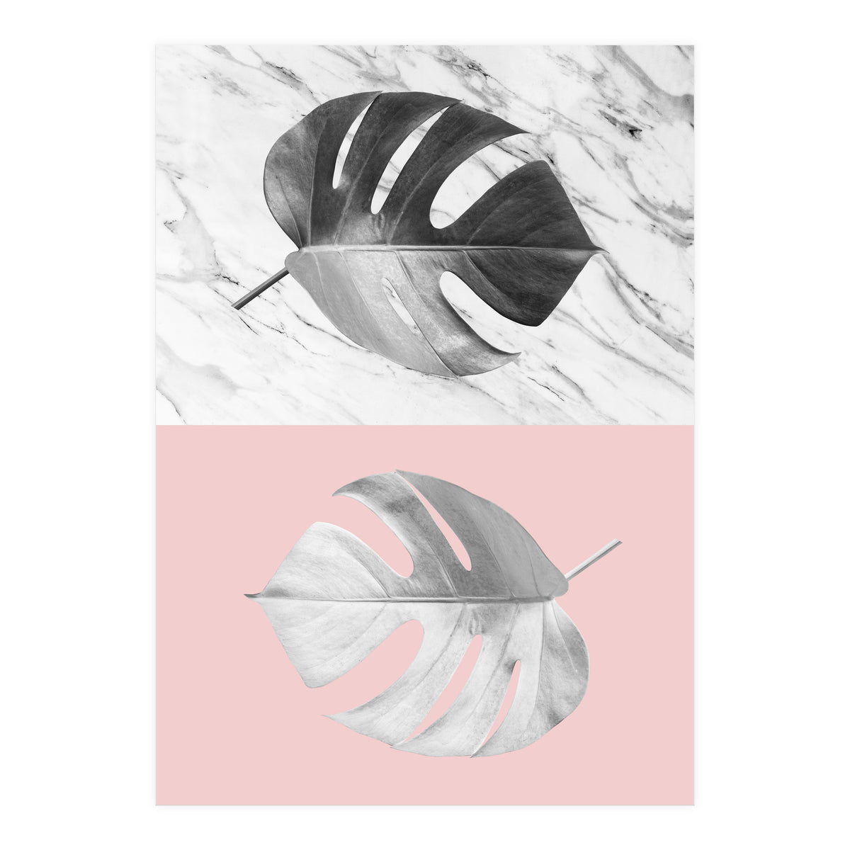 Tropical collage V (Print Only)