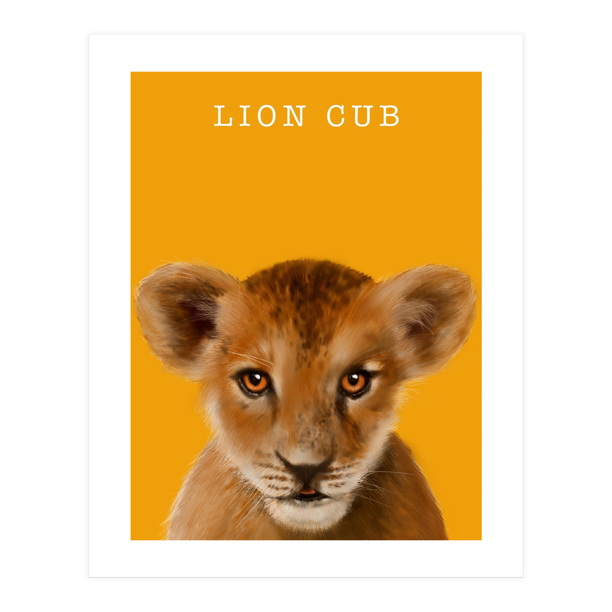 Lion Cub (Print Only)