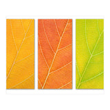 Autumn Leaves (Print Only) thumbnail