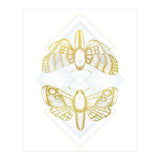 Polillas - Gold (Print Only) thumbnail