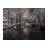 Bute Park, Cardiff  (Print Only) thumbnail