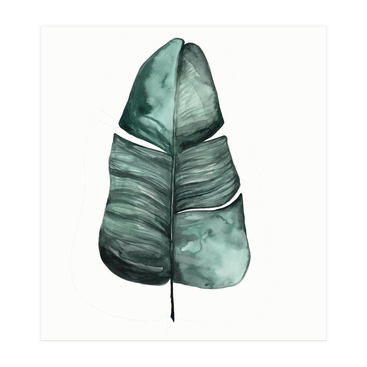 Botanical Illustration Banana Leaf (Print Only)