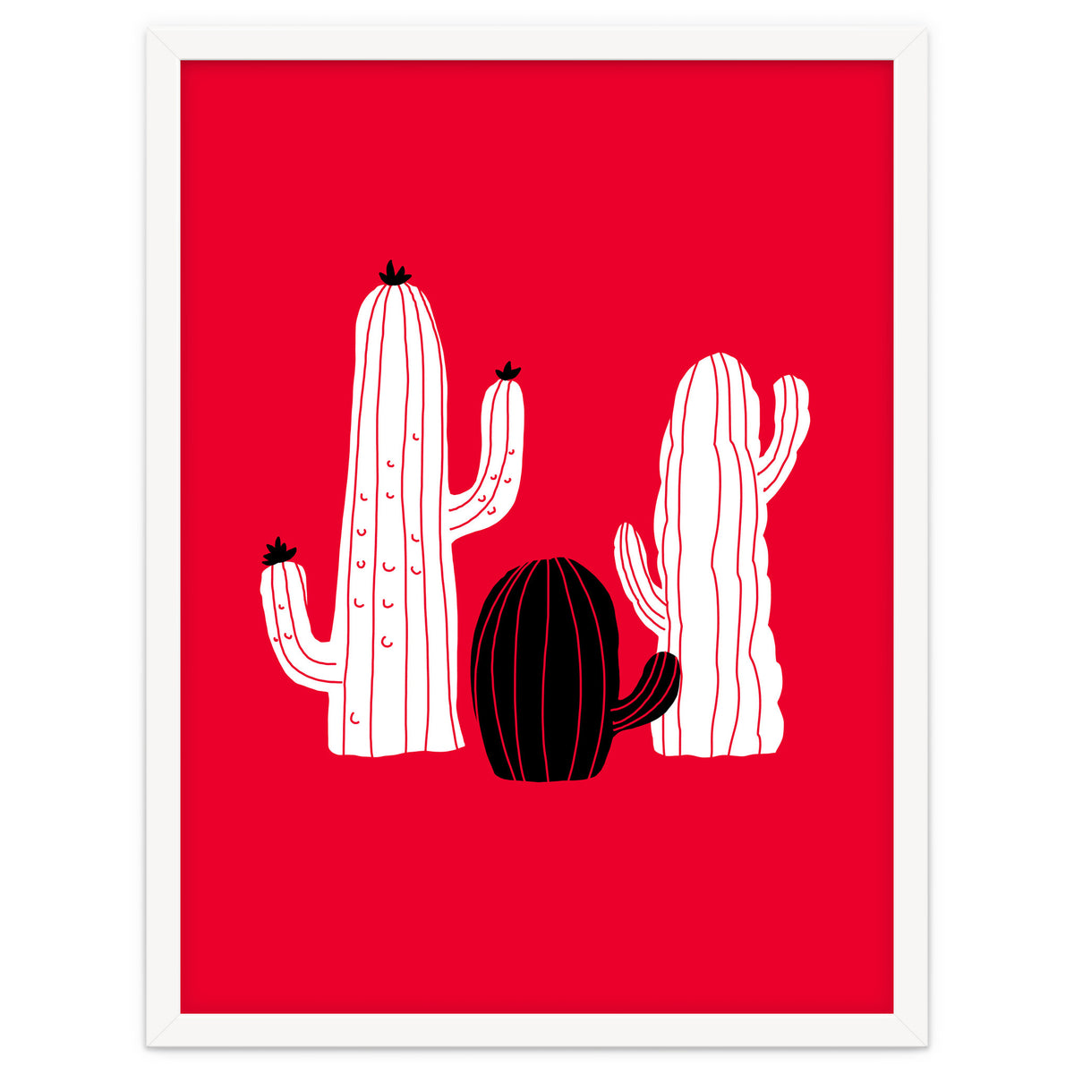 Cactus