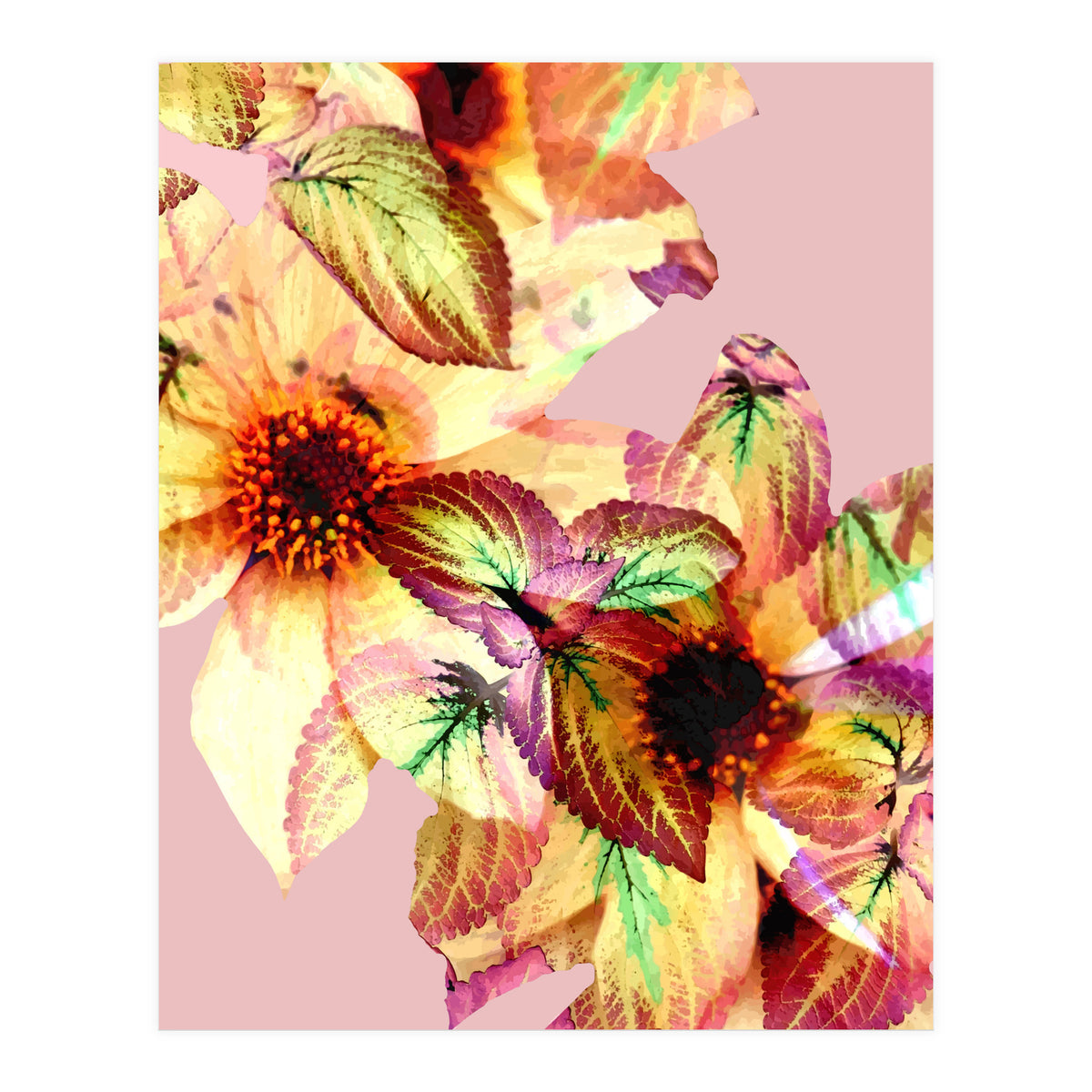Flower Power (Print Only)