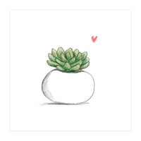 Succulent in Small White Planter (Print Only)