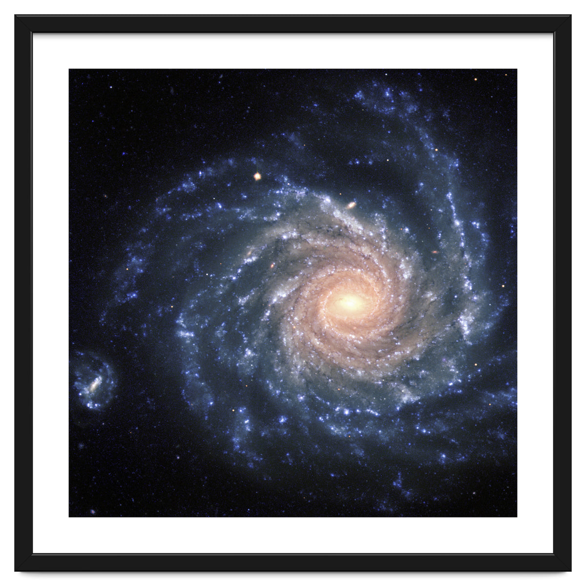Spiral Galaxy NGC 1232