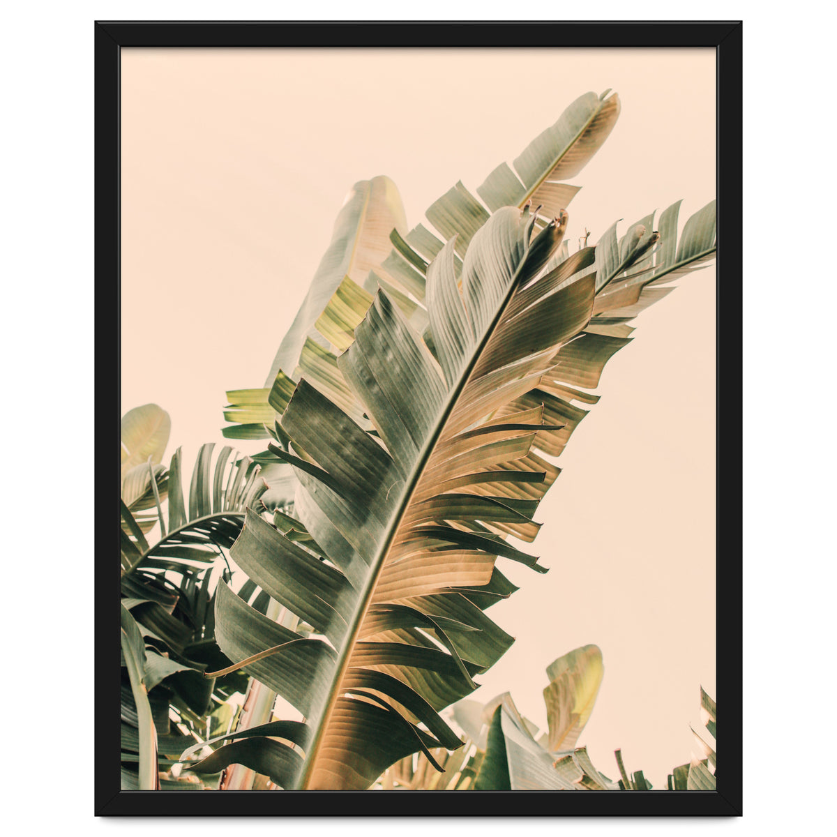 Growing Green Alicia Bock