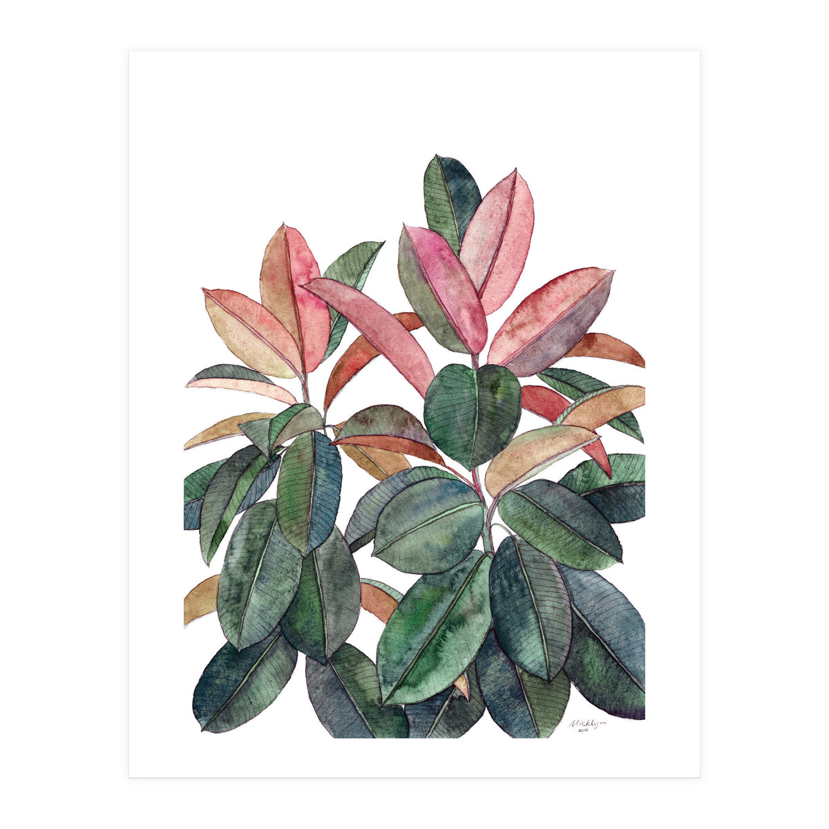 Rubber Plant (Print Only)