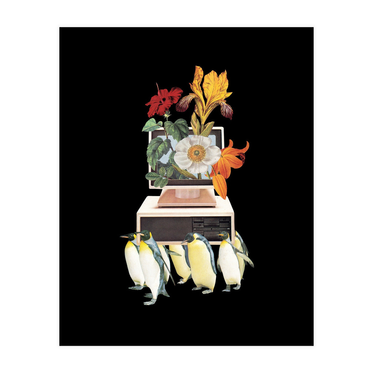 Penguin Os (Print Only)