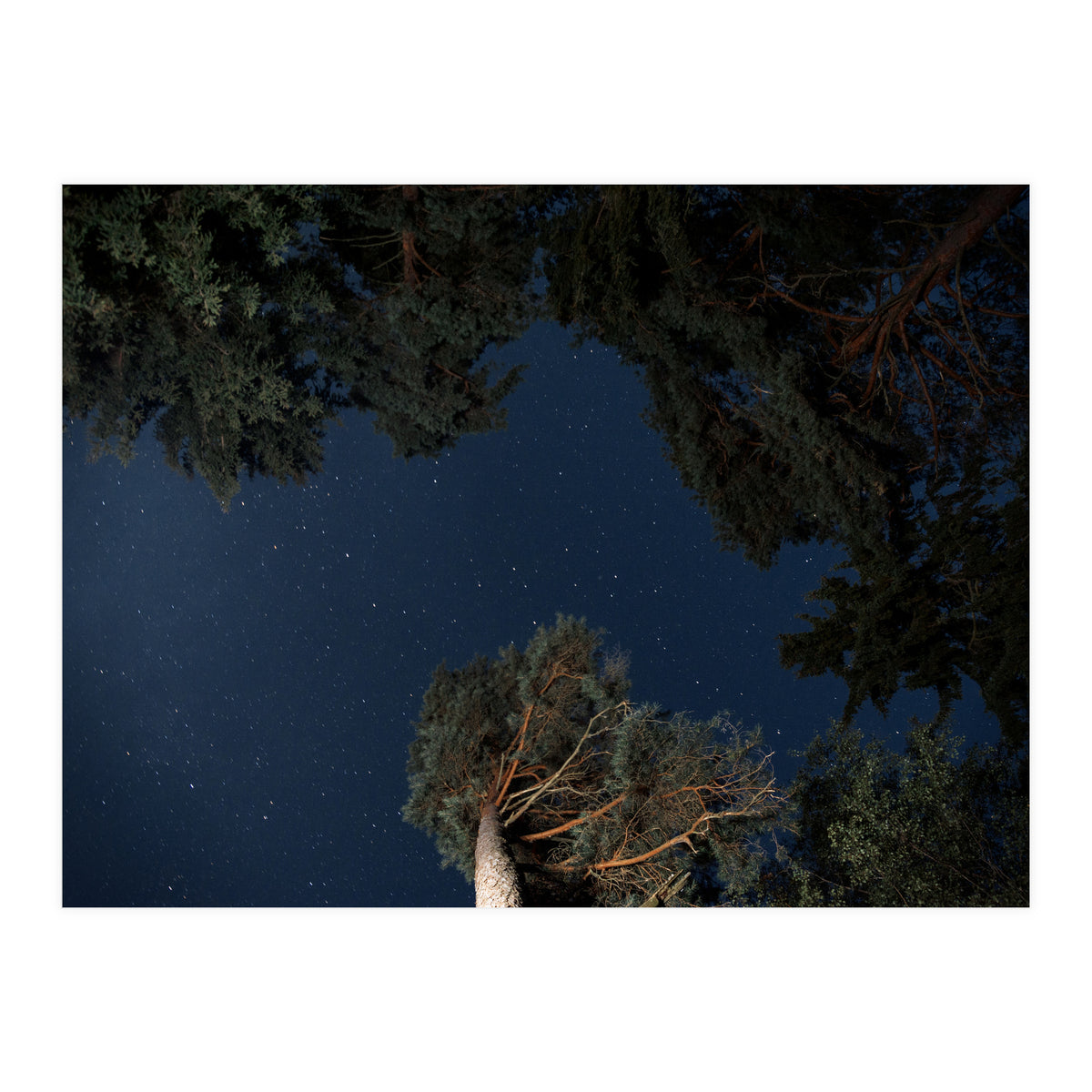 Sputnik Turntables (Print Only)