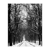 Winterly alley (Print Only) thumbnail