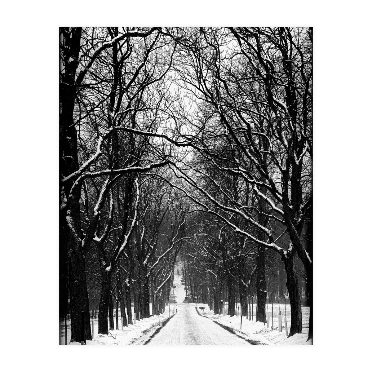 Winterly alley (Print Only)
