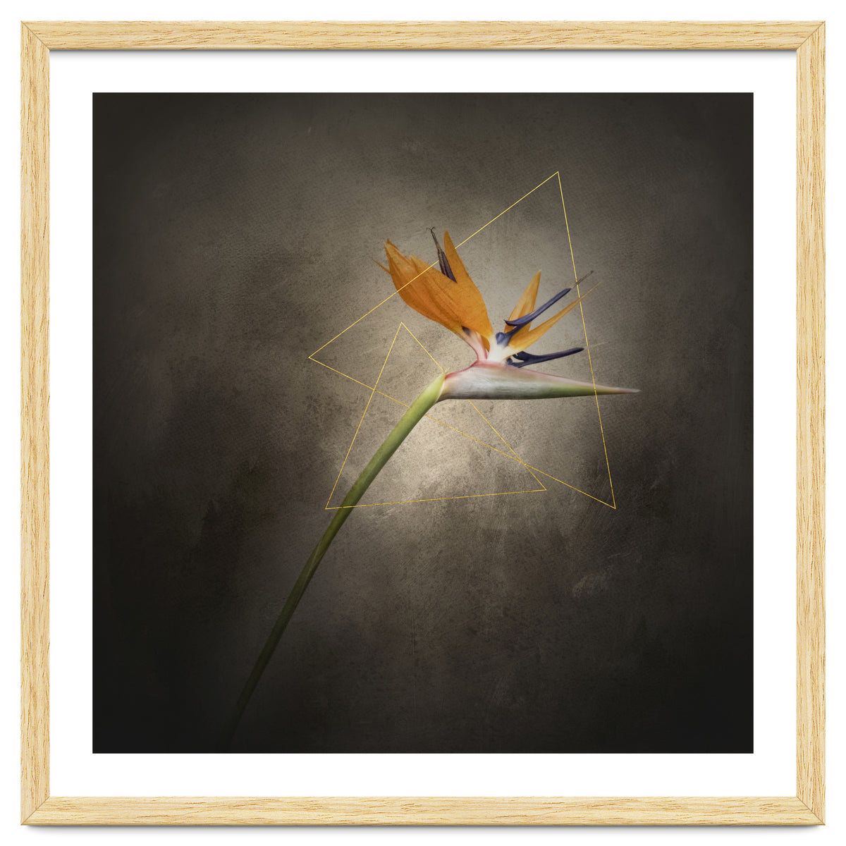 Graceful flower - Strelitzia | vintage style