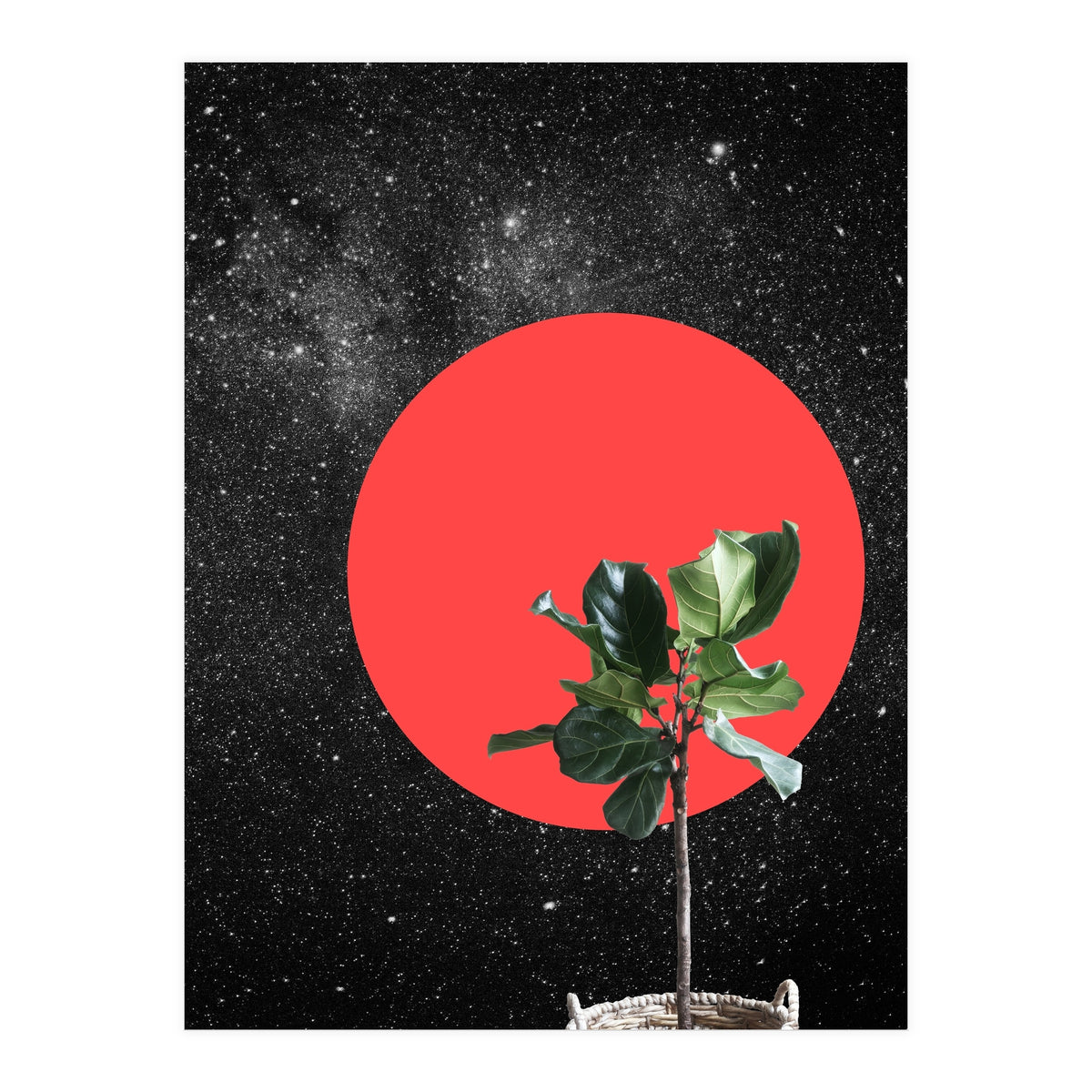 "Bonsai" - Digital Collage (Print Only)