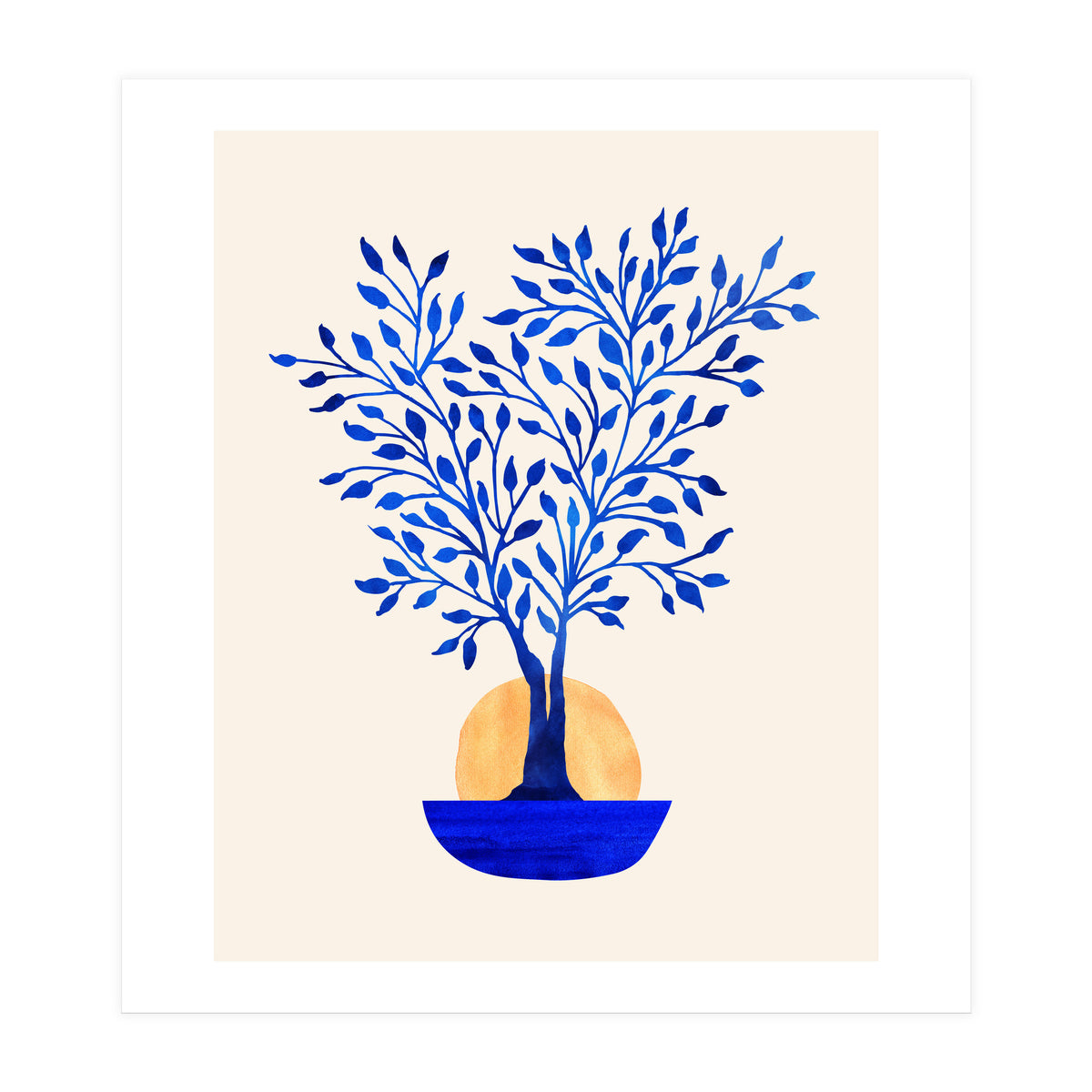 Indigo Ficus Sunrise (Print Only)