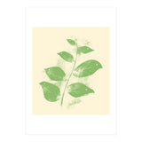 Flying Leaves (Print Only) thumbnail