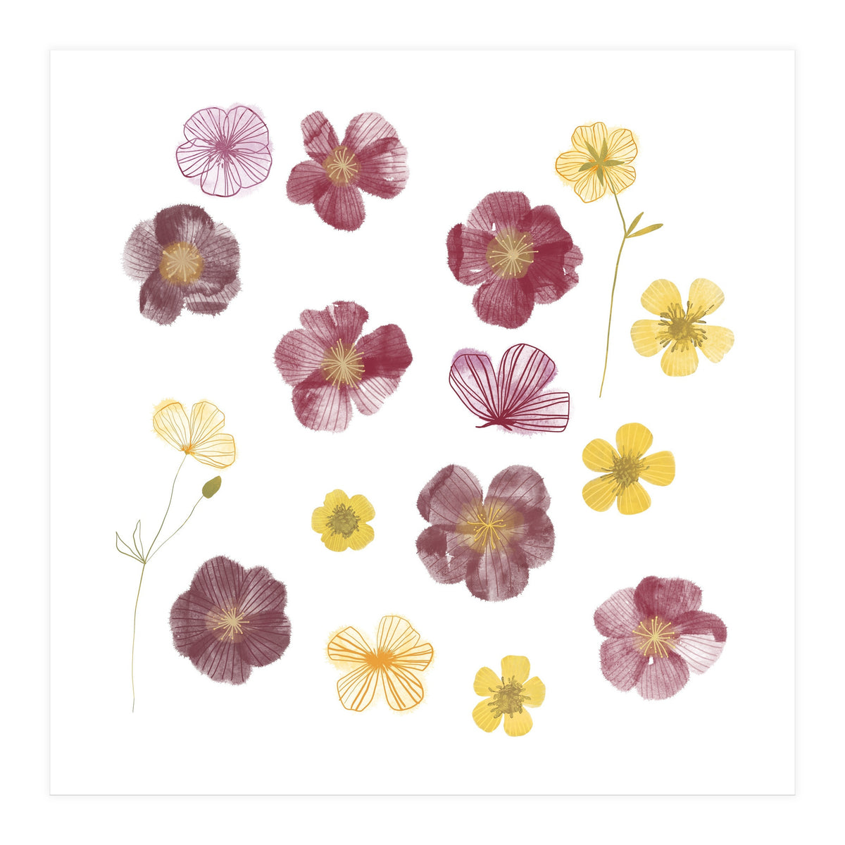 Pressed Flowers (Print Only)