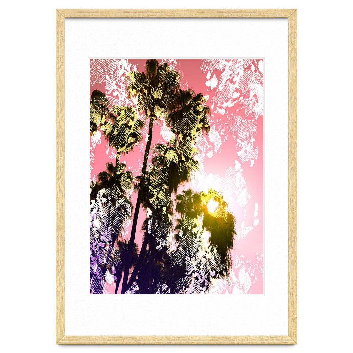 Snake sunset in paradise