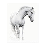 Horse Line Art (Print Only) thumbnail