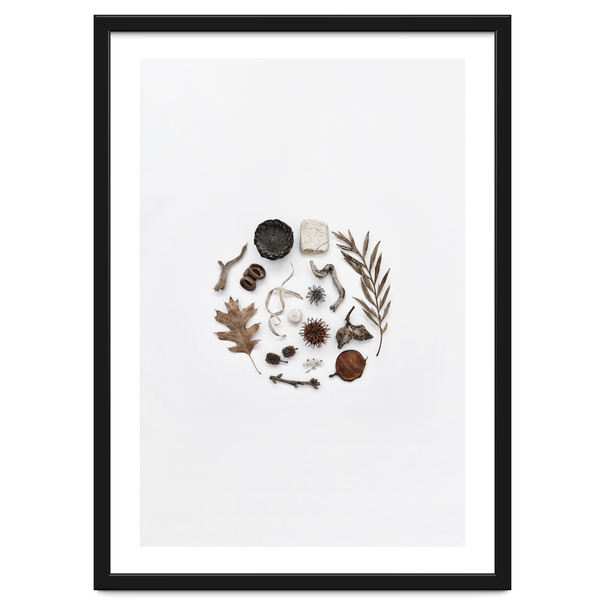 Treasures From Nature No. 2