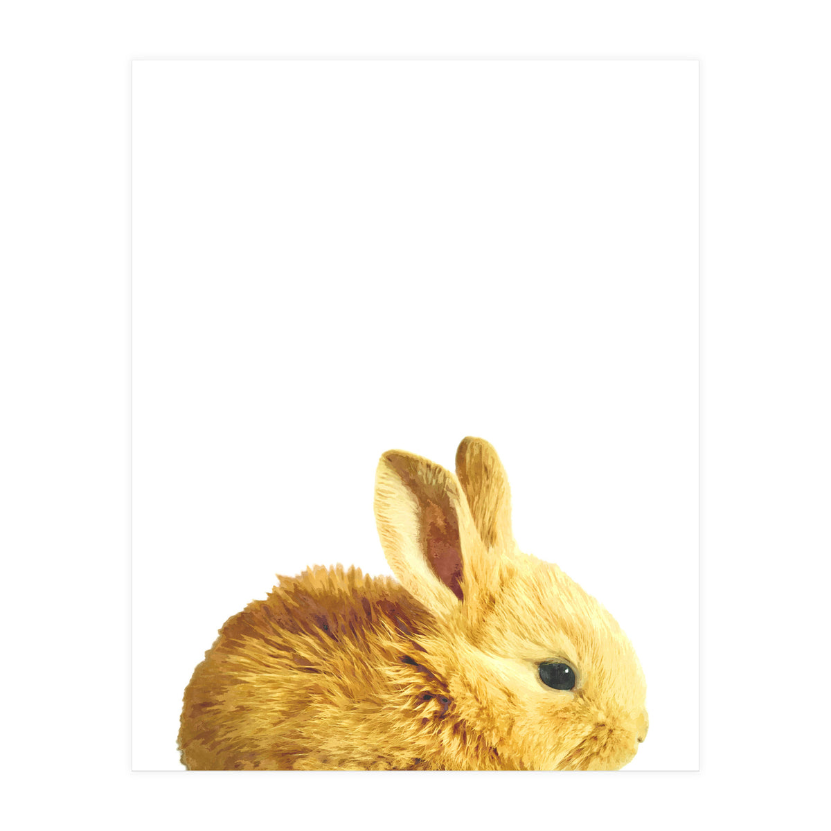 Bunny Portrait (Print Only)