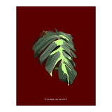 Predator (Print Only) thumbnail