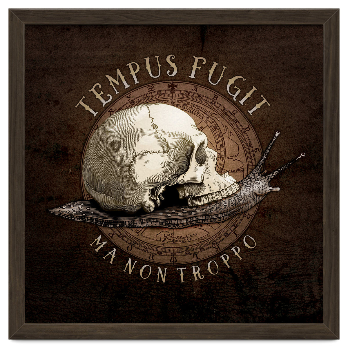 Tempus Fugit (ma non troppo)