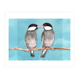 Two kissing Java sparrows (Print Only) thumbnail