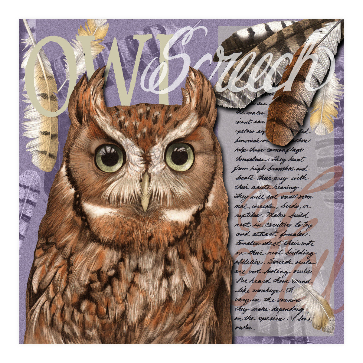 Screech Owl (Print Only)