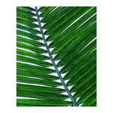 Foliage V3 (Print Only) thumbnail