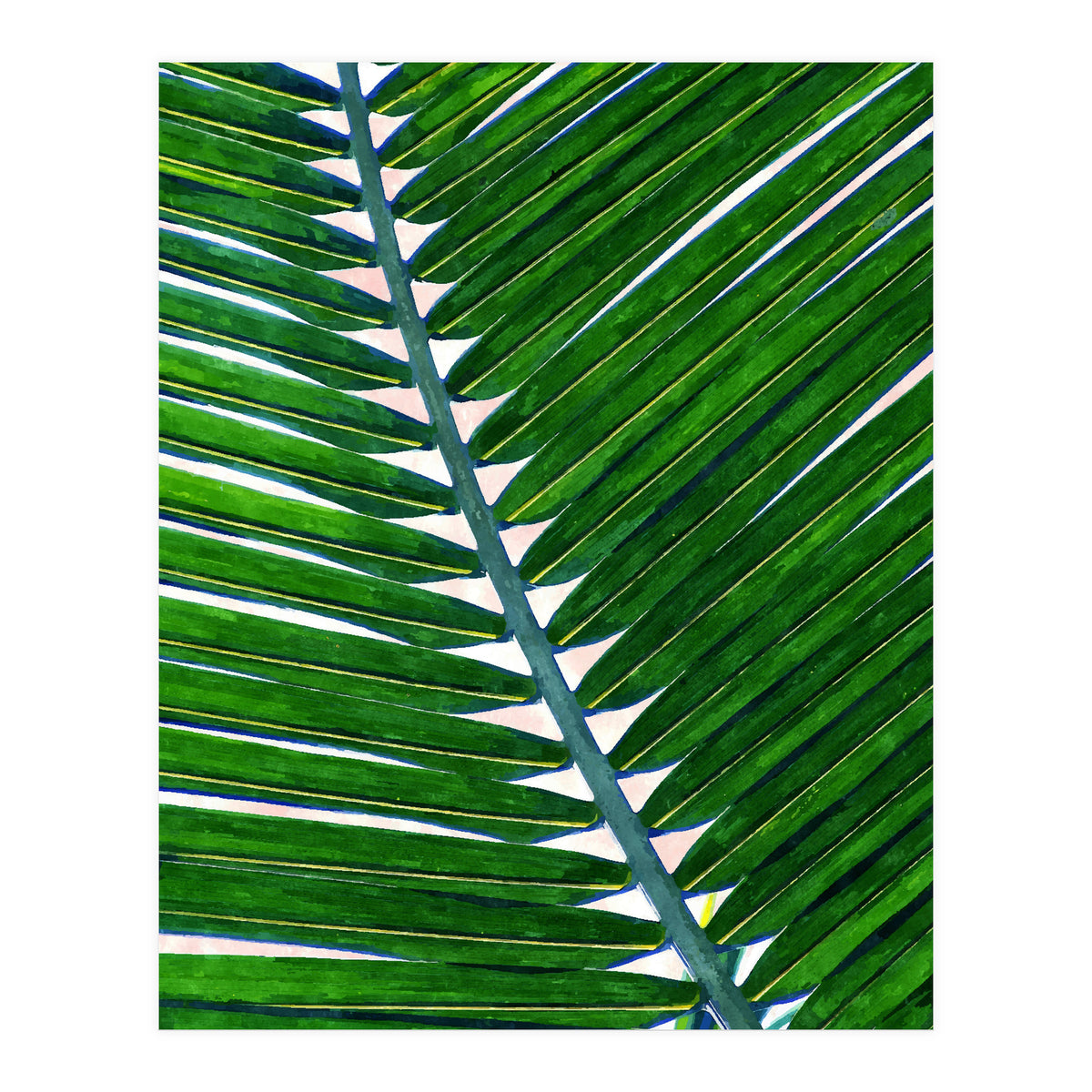 Foliage V3 (Print Only)