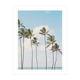 Tropical Palm Trees (Print Only) thumbnail