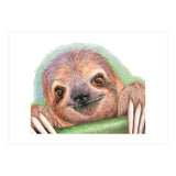 Smiling Sloth (Print Only) thumbnail