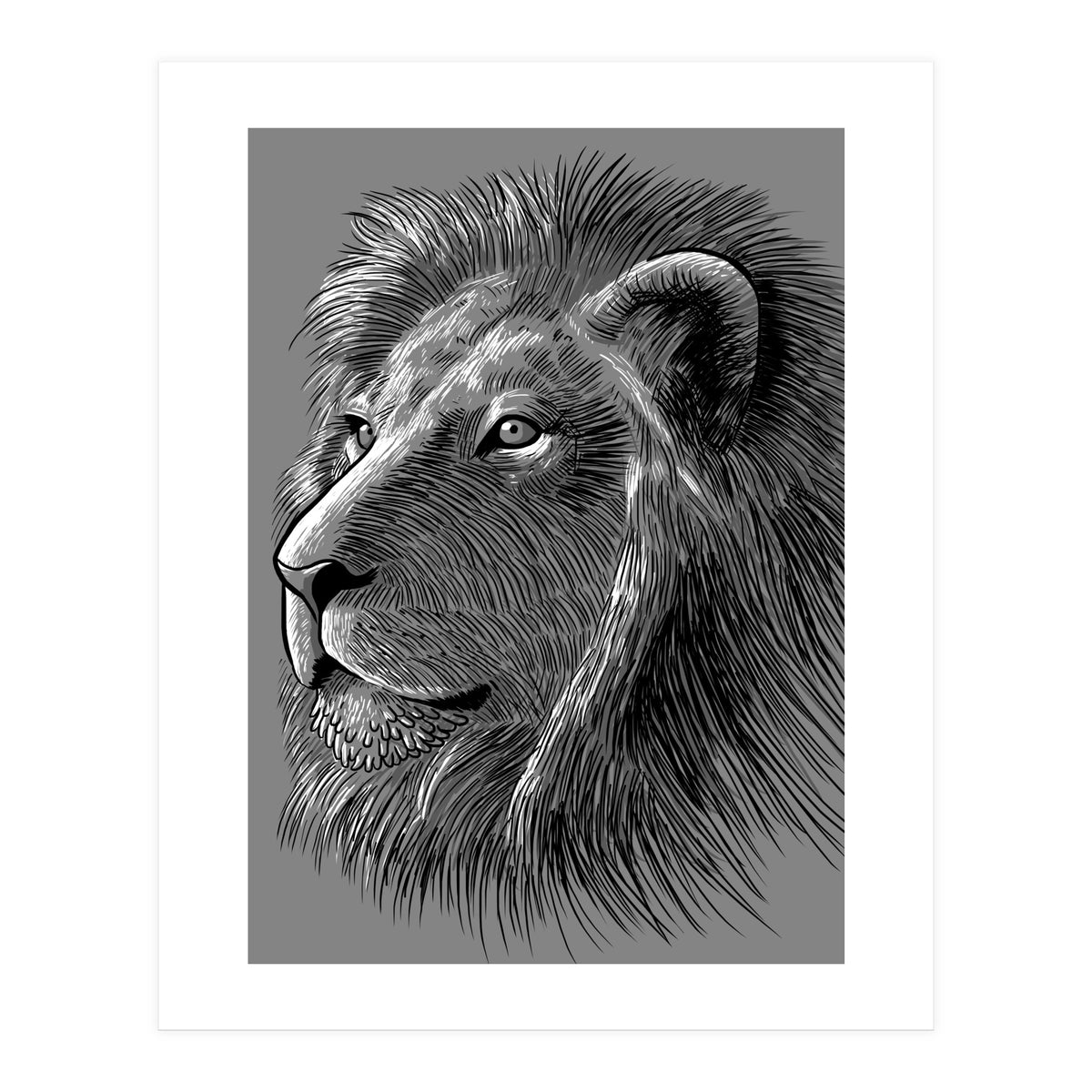 Sketch Lion (Print Only)
