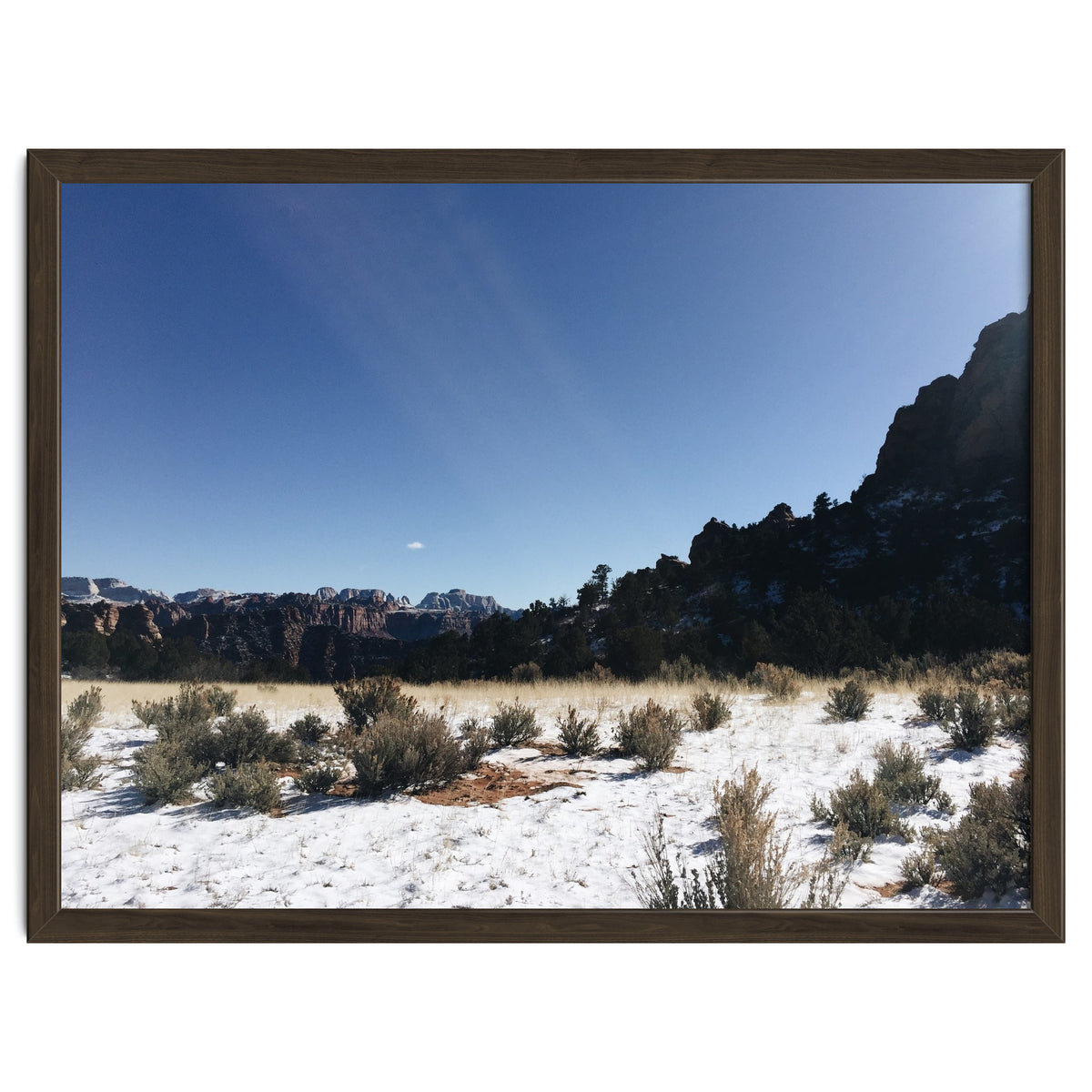 Zion National Park II