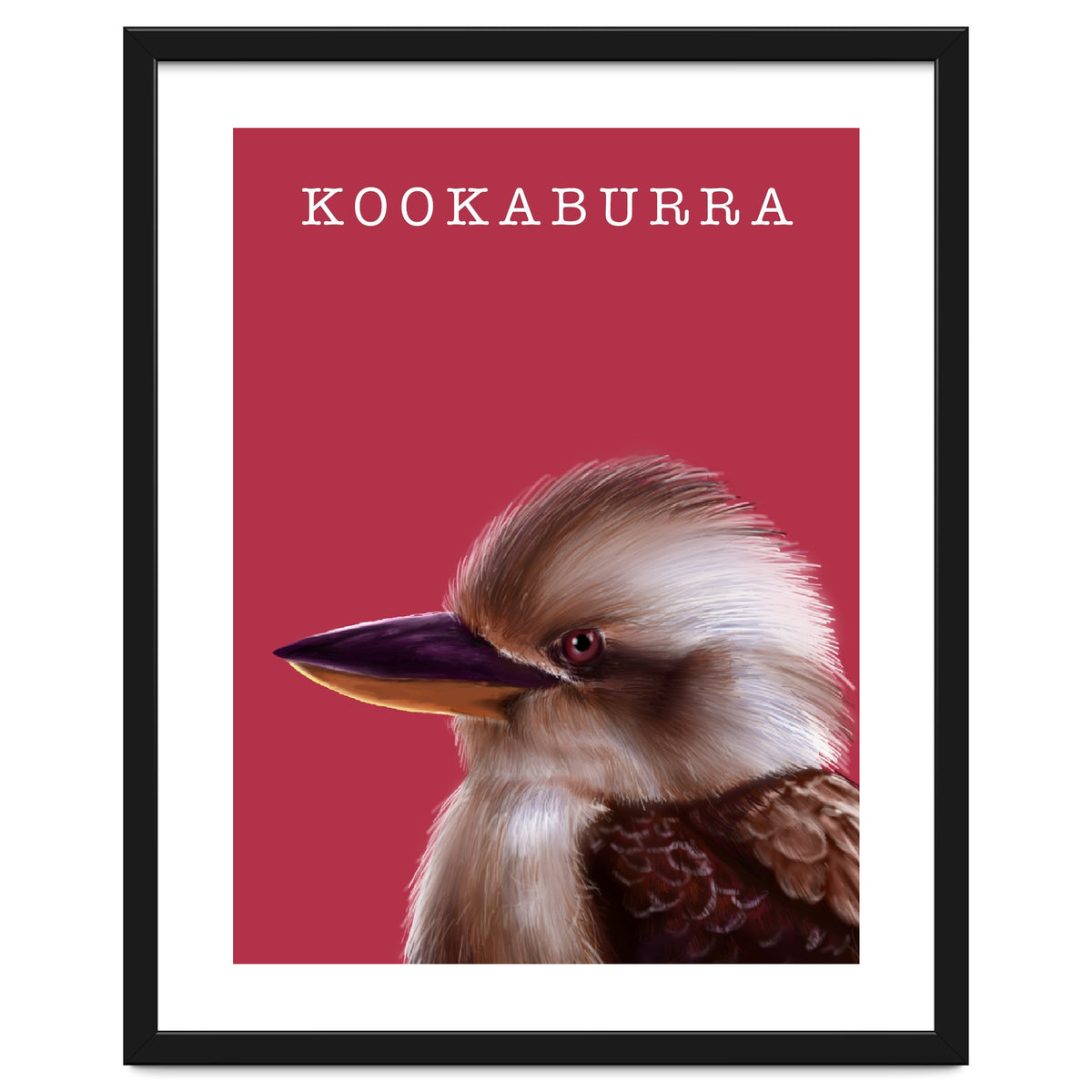 Kookaburra