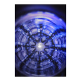 Lucky Reflection (Print Only) thumbnail