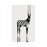 Zebra  (Print Only) thumbnail