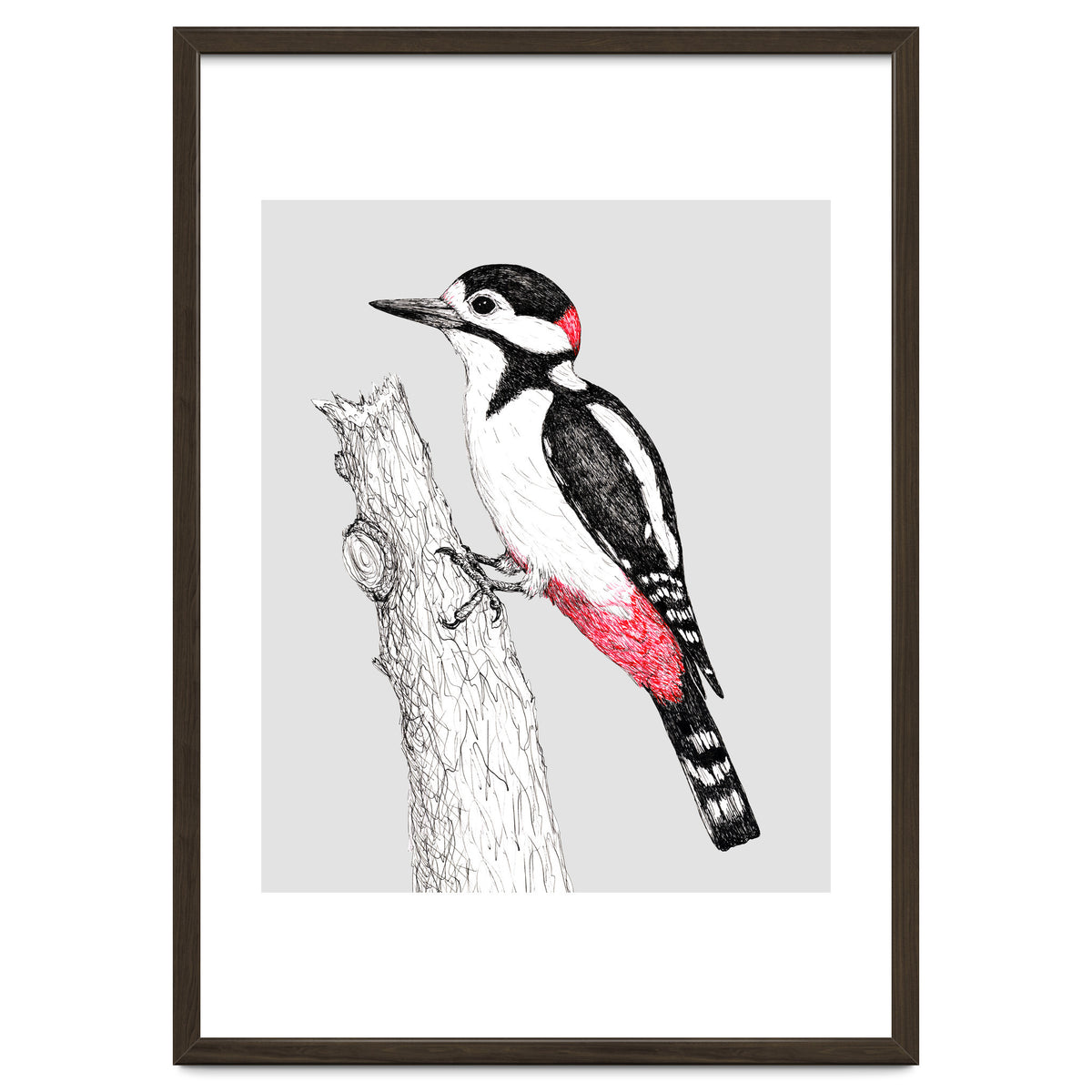 Great spotted woodpecker