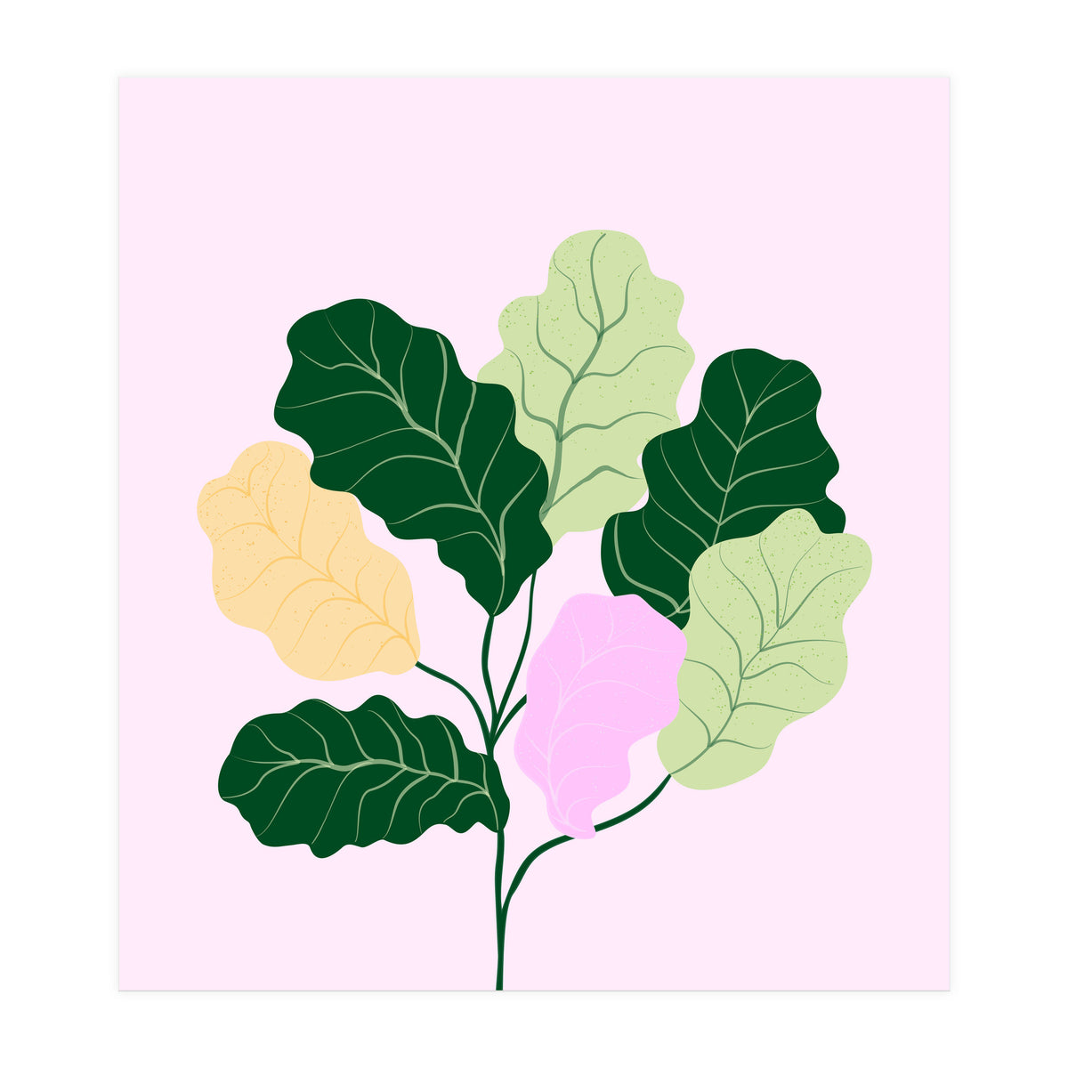 Figleaf (Print Only)
