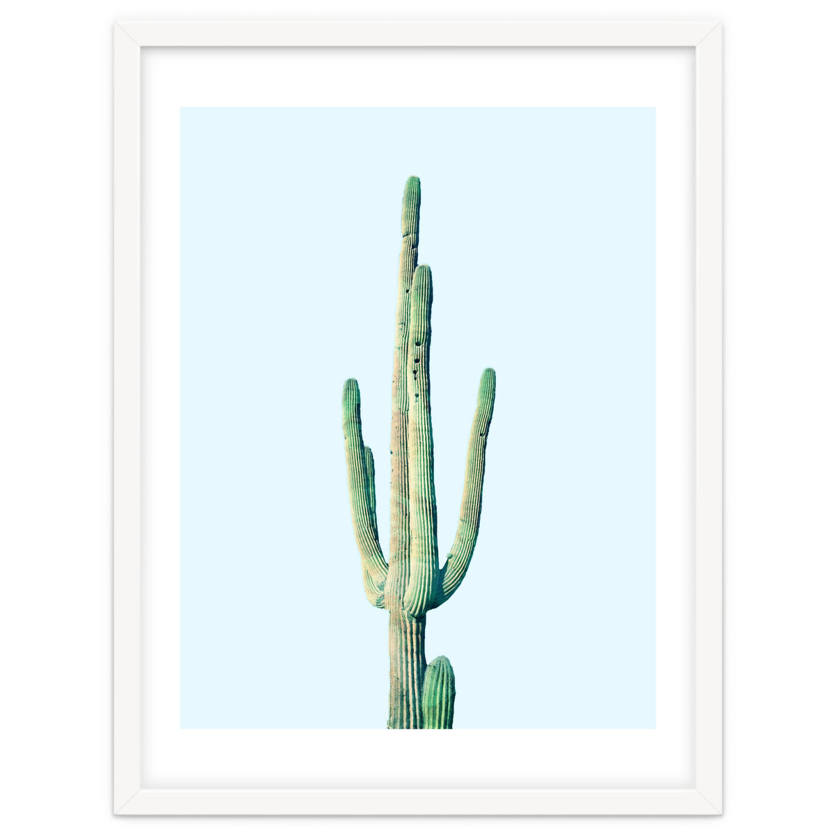 Loner Cactus