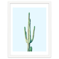 Loner Cactus