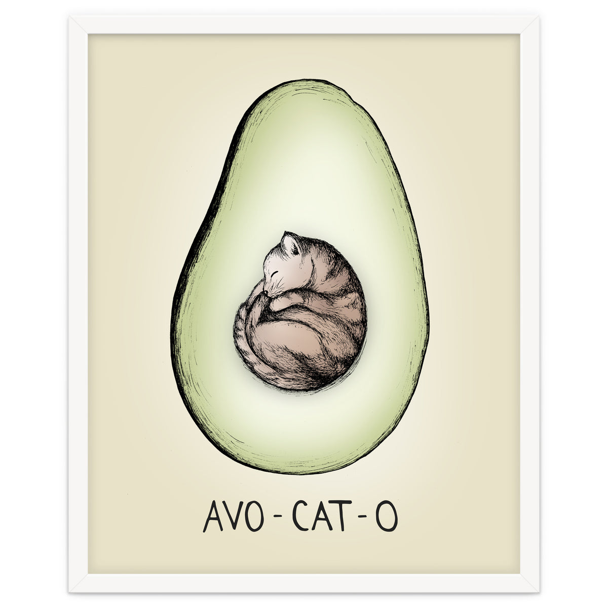 Avo-cat-o