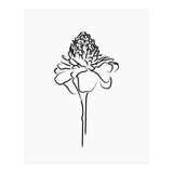 Black Flower (Print Only) thumbnail